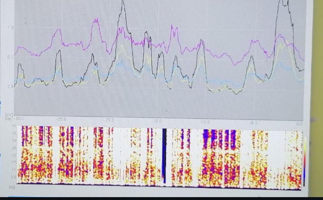 WhatsApp Image 2024-10-03 at 15.10.46 (1)